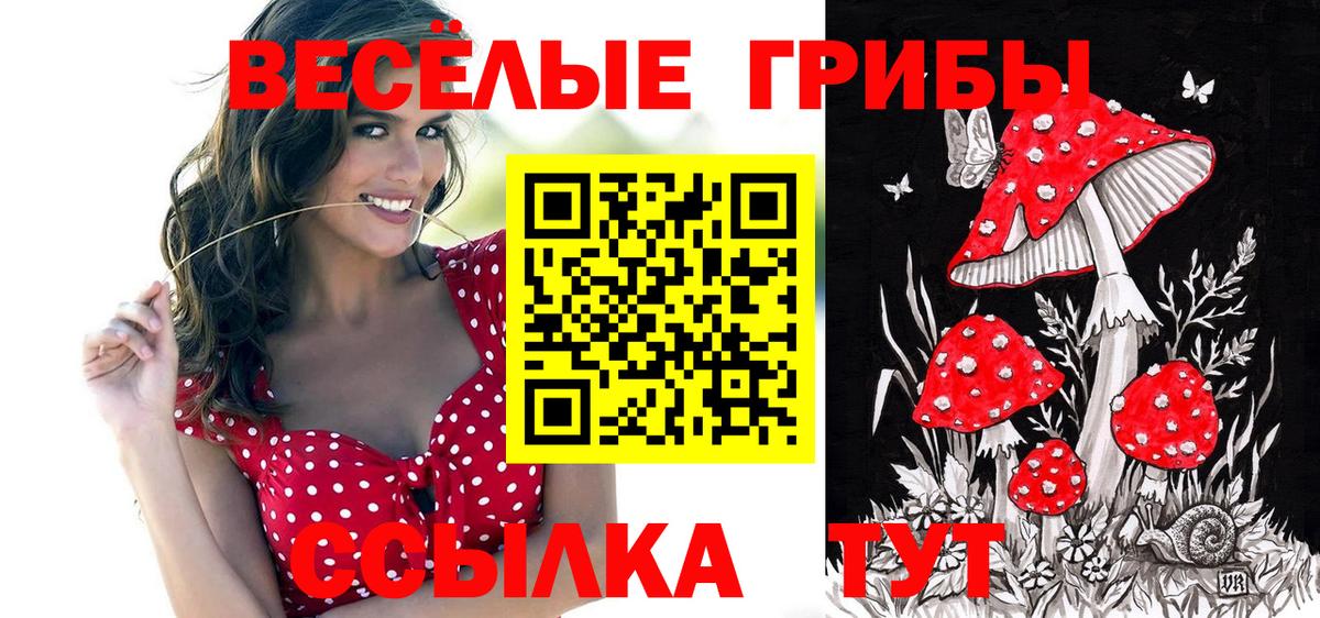 Псилоцибиновые грибы GOLDEN TEACHER Ирбит