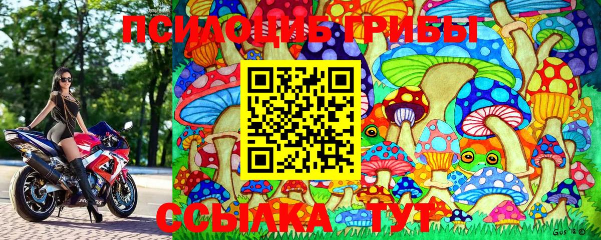 Ирбит  Псилоцибиновые грибы Cubensis  Псилоцибиновые грибы GOLDEN TEACHER  Вход с VPN 